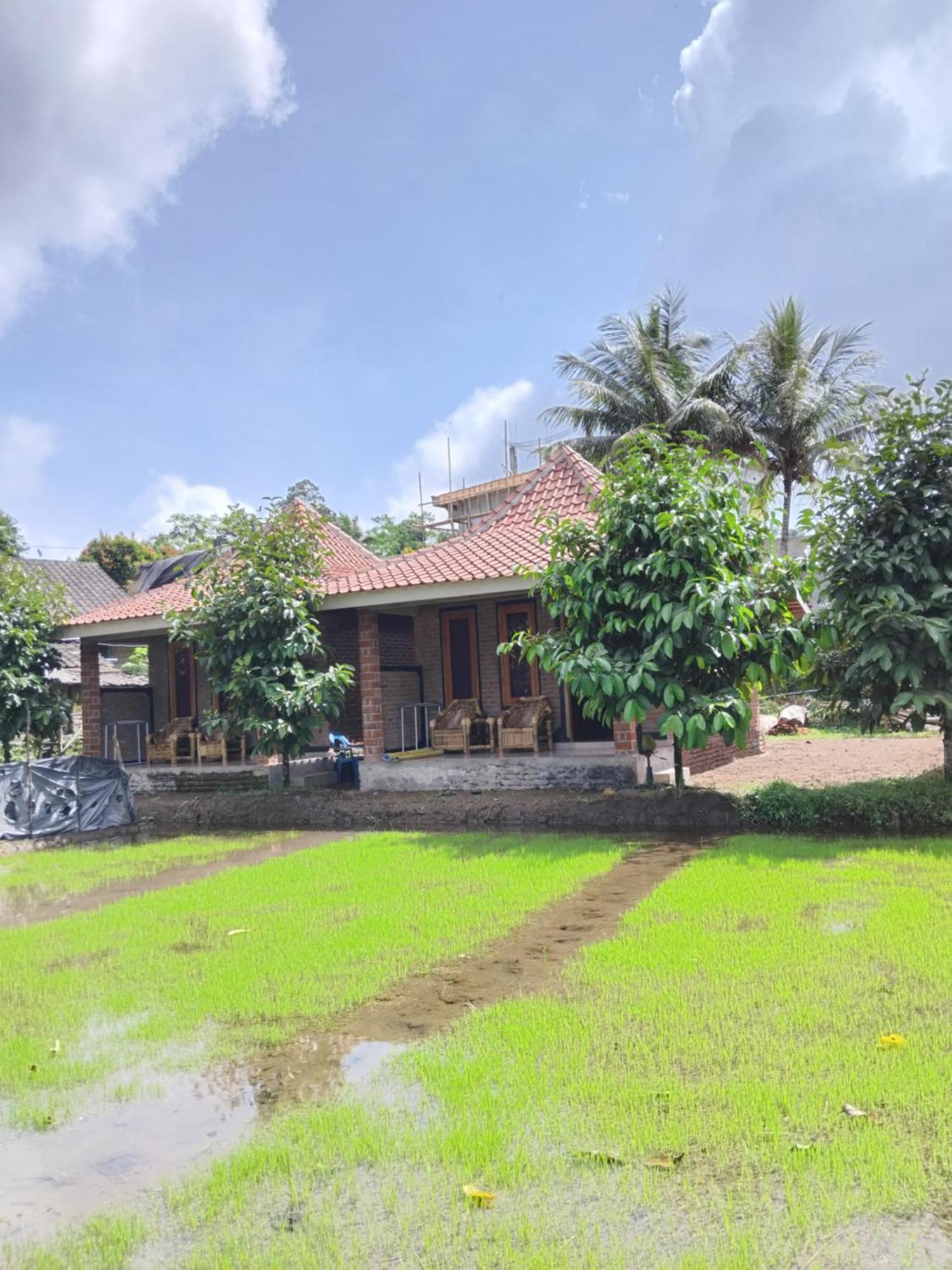 Tereng Wilis Bungalows Tetebatu Exterior photo