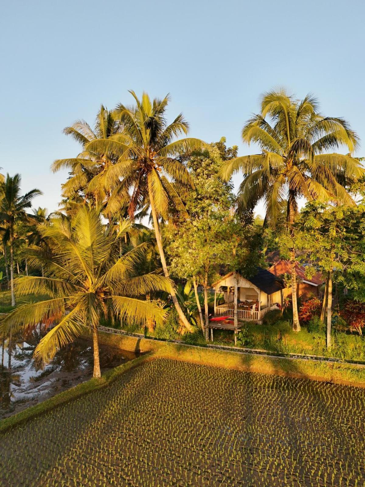 Tereng Wilis Bungalows Tetebatu Exterior photo