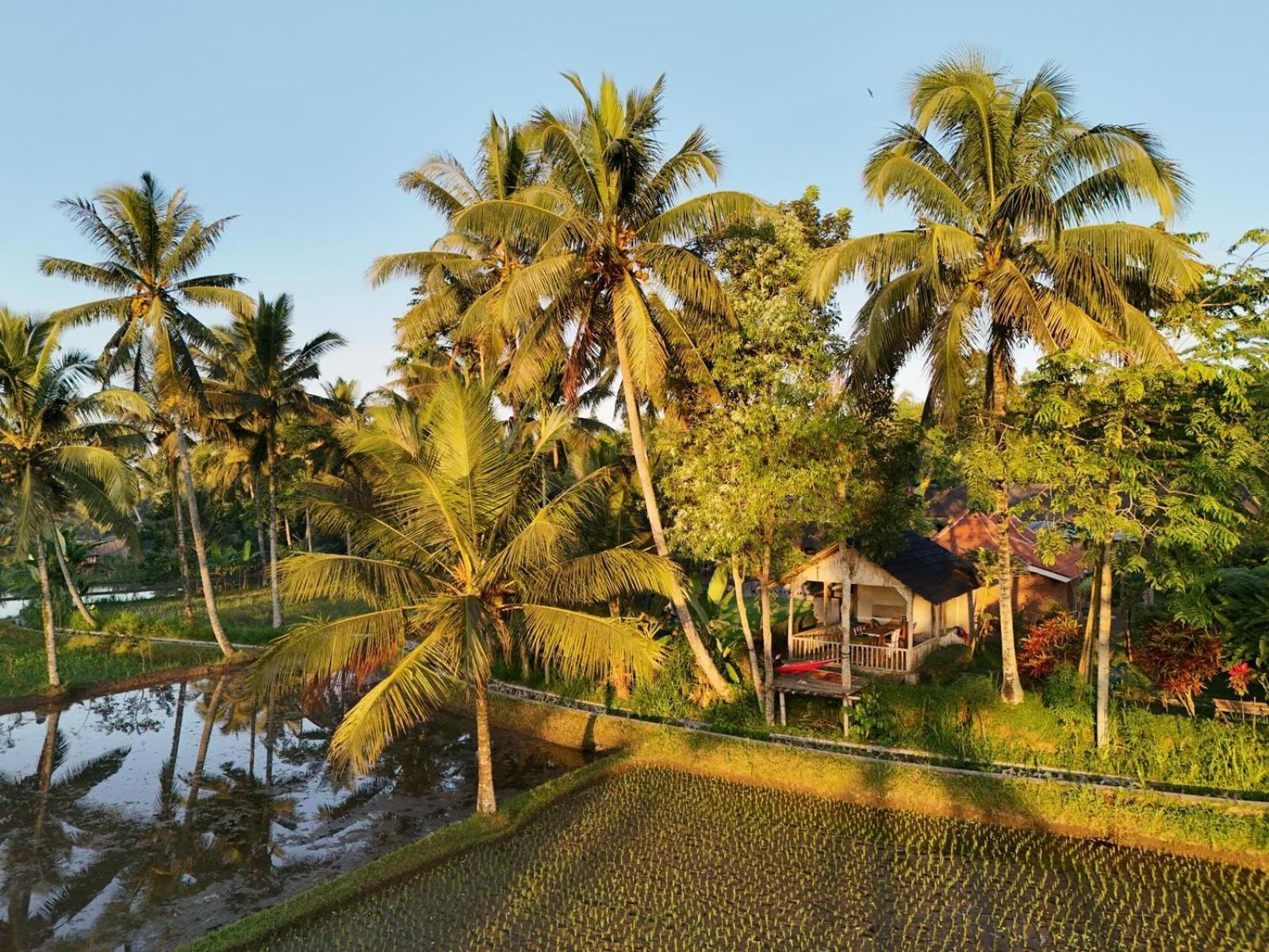 Tereng Wilis Bungalows Tetebatu Exterior photo