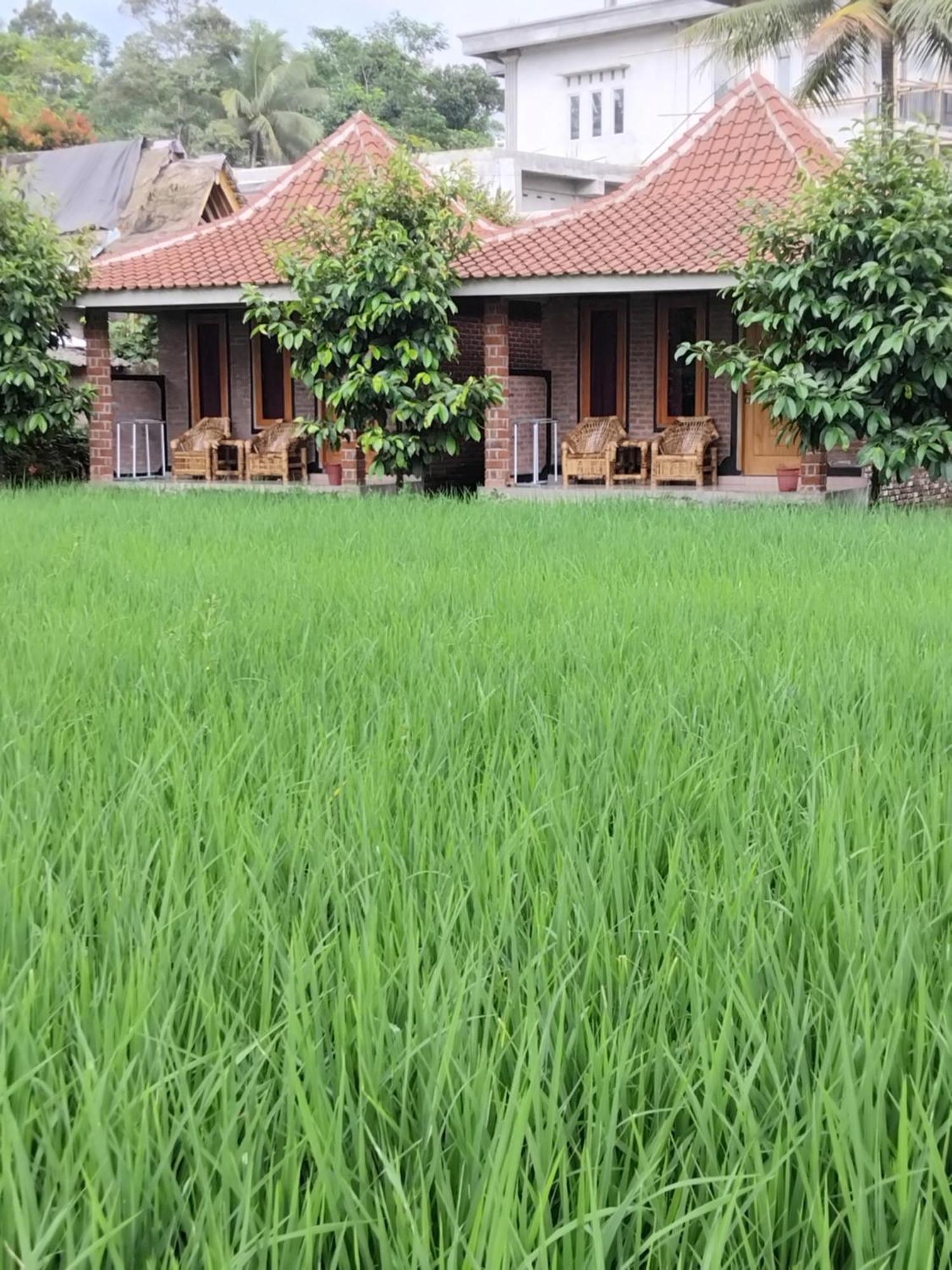 Tereng Wilis Bungalows Tetebatu Exterior photo