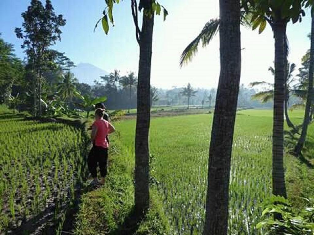 Tereng Wilis Bungalows Tetebatu Exterior photo