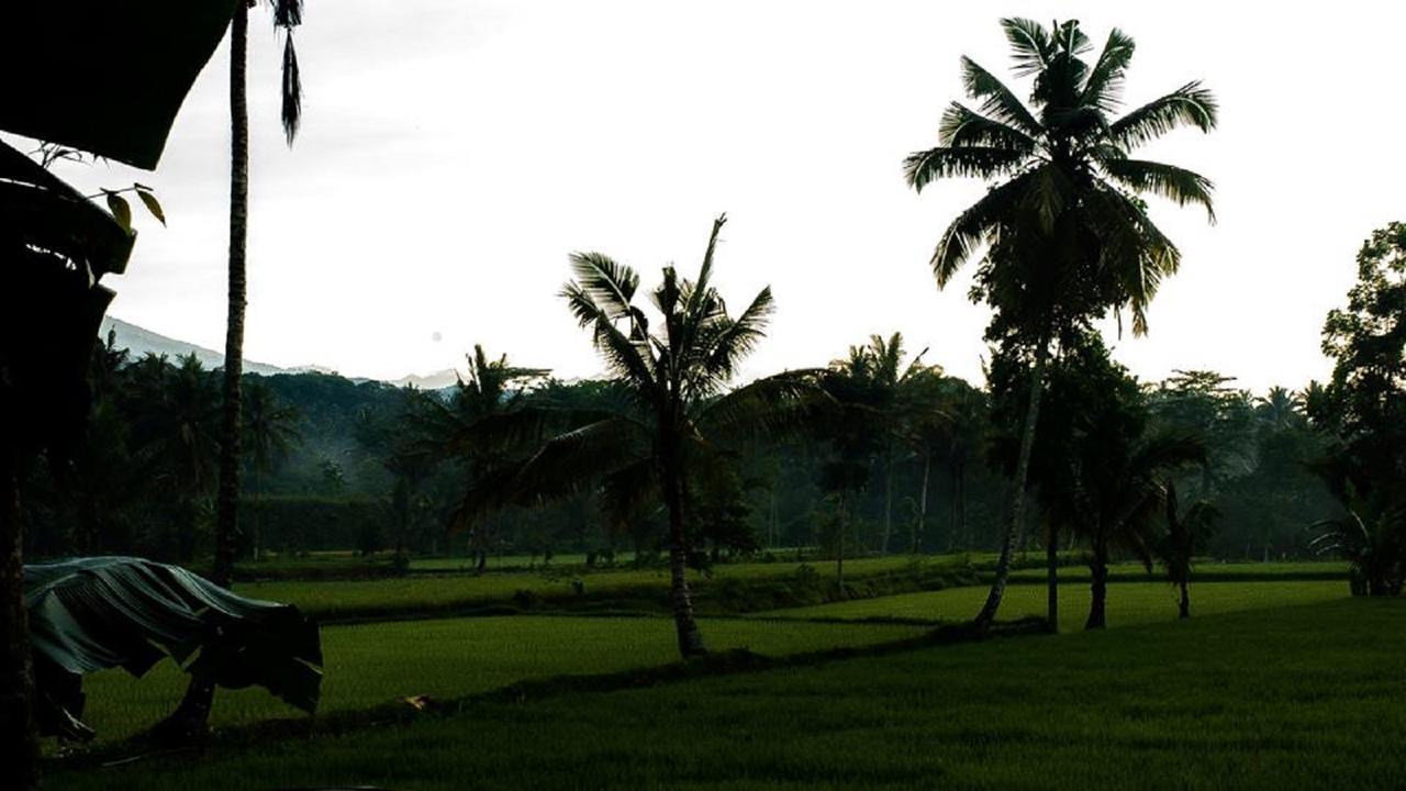 Tereng Wilis Bungalows Tetebatu Exterior photo