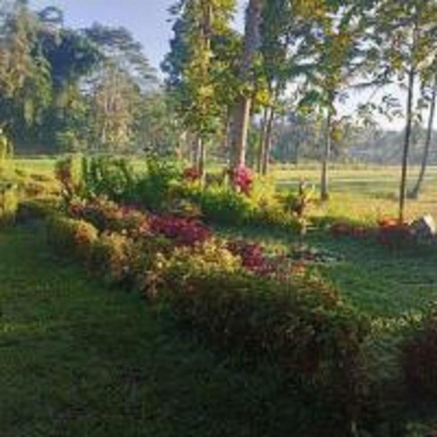 Tereng Wilis Bungalows Tetebatu Exterior photo